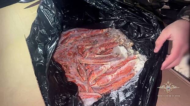 В Забайкальском крае полицейские изъяли из незаконного оборота более пяти тонн морепродуктов