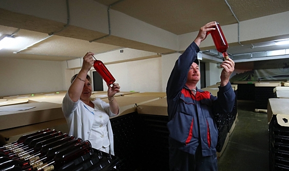 Волгоградская область вошла в топ-5 популярных направлений для энотуризма