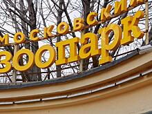 На московских поисково-спасательных станциях введен усиленный режим работы из-за таяния льда