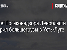 Комитет Госэконадзора Ленобласти проверил большегрузы в Усть-Луге