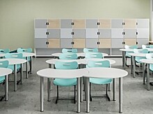 Семь школ подключили к энергосетям Подмосковья с начала года