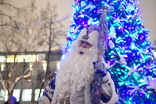 Москвичи написали в парках города более пяти тыс. писем Деду Морозу