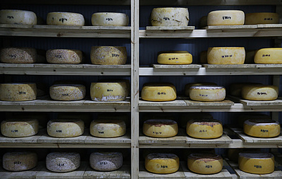 Производство элитных сортов сыра развернут в агропромышленном парке на Сахалине