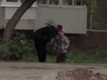 Мужчина в Екатеринбурге избил девочку на улице