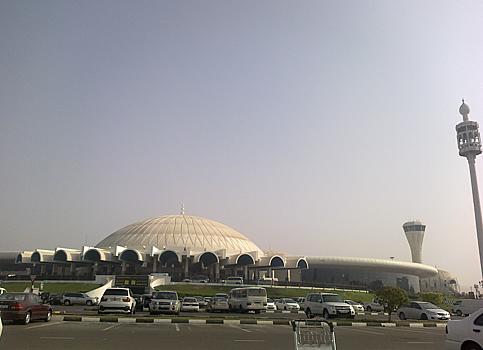 Ливни в Дубае привели к веерным задержкам рейсов из Москвы