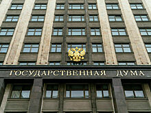Законопроект о повышении возраста призыва для получивших гражданство отозвали из Госдумы