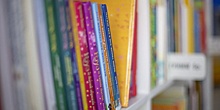 Современная проза о девочках возглавила пятерку популярных книг среди читателей Южнопортового