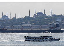 Названы проблемы возобновления зерновой сделки