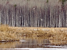 Абсолютный рекорд по теплу был поставлен в Ижевске 25 ноября