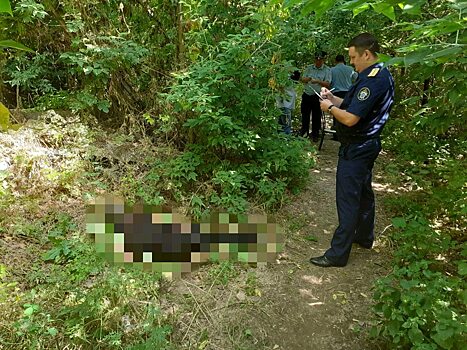 Прохожая нашла труп мужчина с пробитой головой в лесополосе