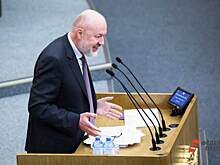 Депутат Госдумы Крашенинников предложил обязать самокатчиков ездить в касках