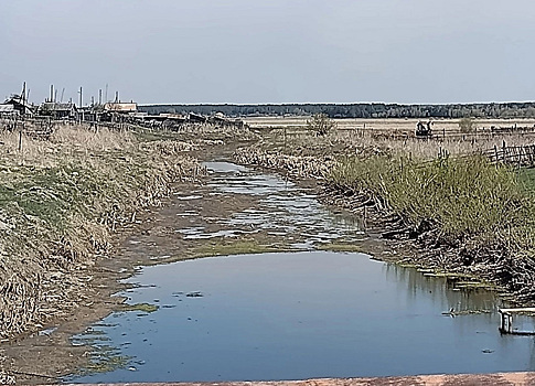 В Курганской области пересохла река