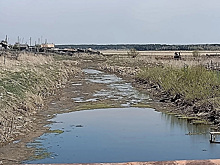 В Курганской области пересохла река