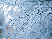 Синоптики раскрыли причины лютых аномальных морозов в Кузбассе