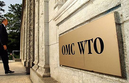 МЭР выступило против выхода России из ВТО