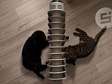 В ижевском районе «Соцгород» ряд домов и соцобъектов попадает под отключение отопления