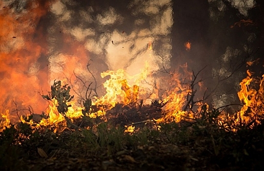 Лесной пожар подошёл к столице Якутии