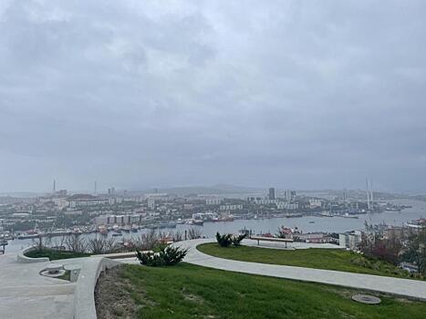 Приморский миллиардер будет развивать общественные пространства Владивостока
