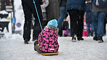 Крымчане отпраздновали Всемирный день снега на санях