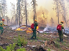 В Якутии виновник лесного пожара заплатит 2 млн рублей за его тушение
