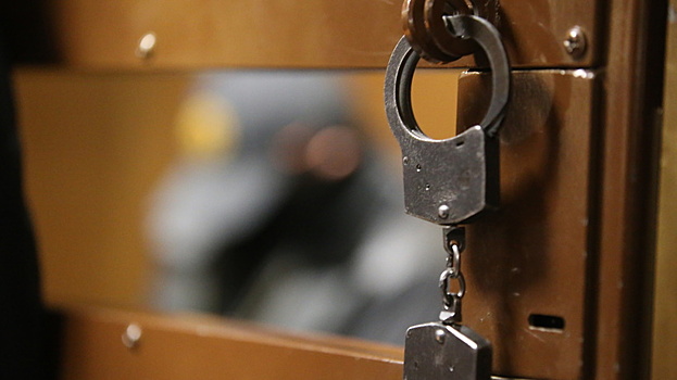 Тверской суд арестовал на 2 месяца экс‑полковника ФСБ Михаила Полякова