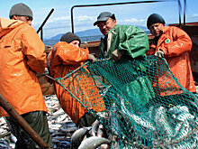 Почему дальневосточников встревожил приход системы "Меркурий"