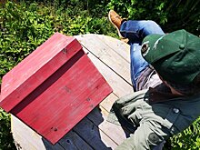 Как изменились условия льготной регистрации загородных домов