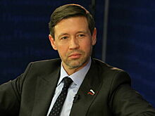 Сенатор Шейкин: Ограничения на электросамокаты вводятся ради безопасности людей