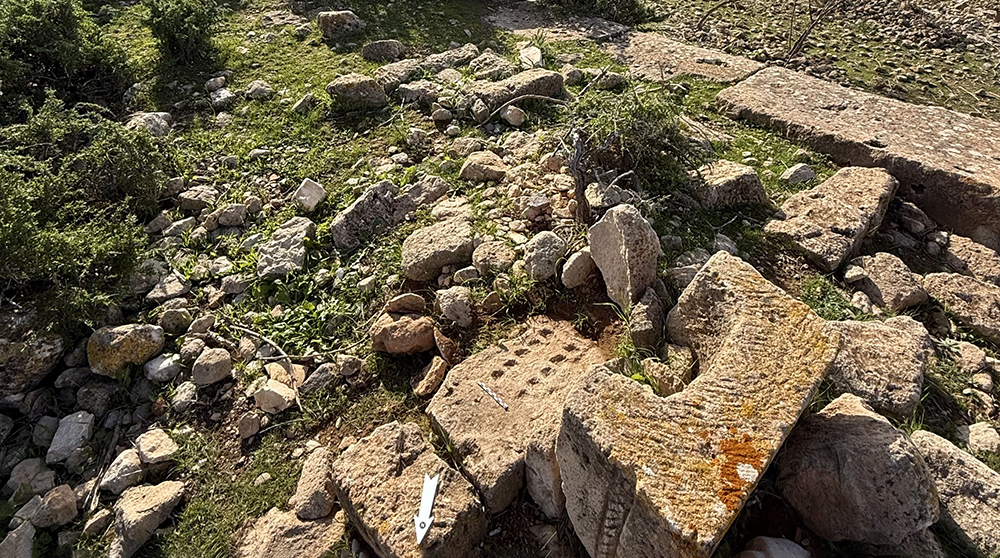 Среди руин древнего города в Ливии нашли более сотни каменных игр.