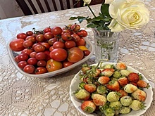 Жители Самары продолжают собирать урожай клубники и томатов