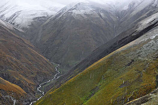 Депутат Матвеев осудил выдвижение кандидата "из аула" без образования на выборы