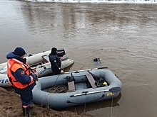 В Удмуртии нашли тело ребенка, пропавшего 15 суток назад на реке Сива
