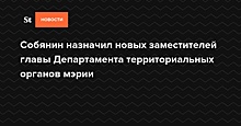 Собянин назначил новых заместителей главы Департамента территориальных органов мэрии — Daily Storm