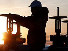 Нефтяным тут не место