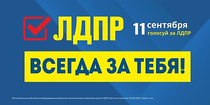 Кандидаты в депутаты много обещают. А в их ли компетенции эти обещания?