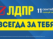 Кандидаты в депутаты много обещают. А в их ли компетенции эти обещания?
