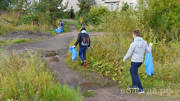 Около 500 человек вышли на «Чистые игры» в Вологде