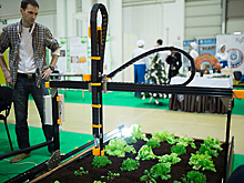 Три четверти работающих в России считают, что их труд роботизировать невозможно