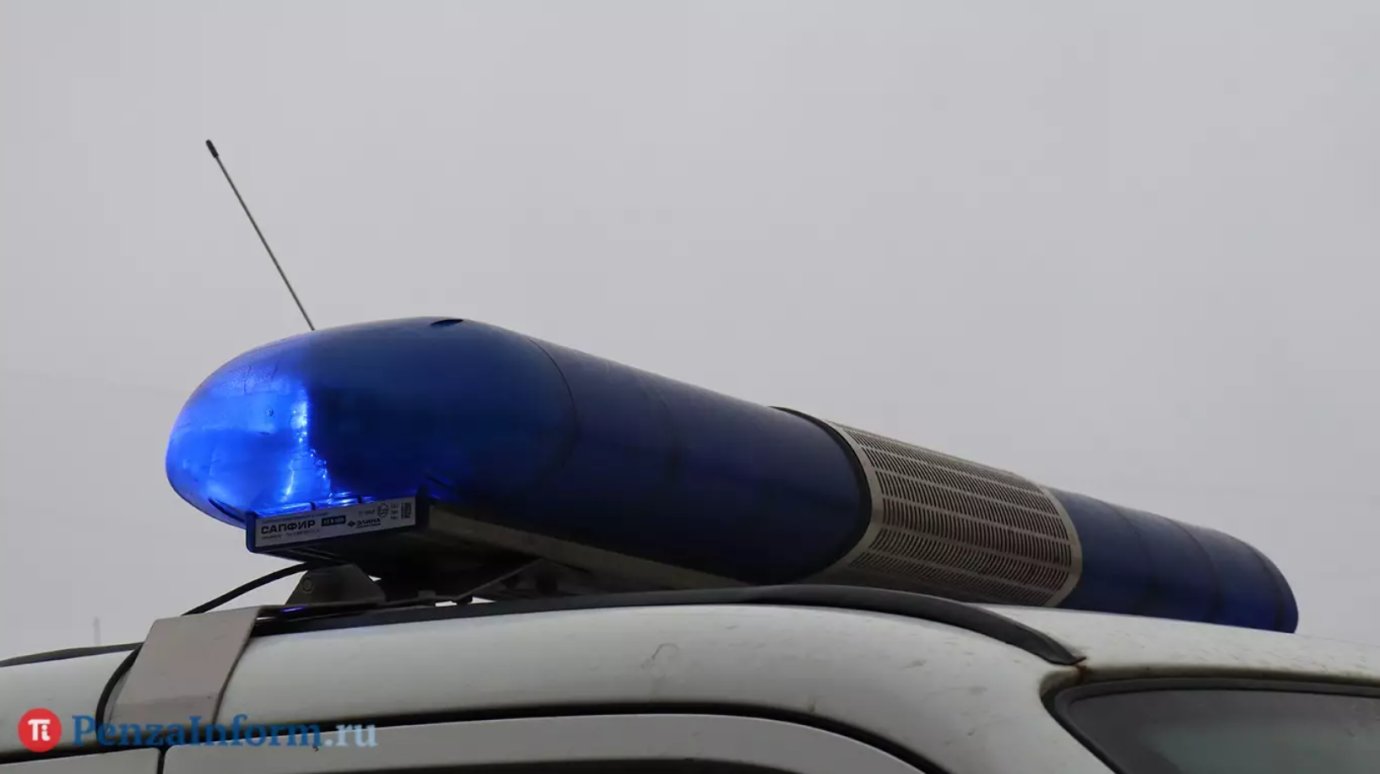 В Пензе закладчица спрятала «товар» в ореховую скорлупу