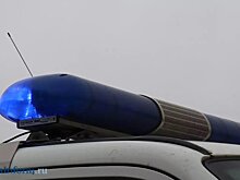 В Пензе закладчица спрятала «товар» в ореховую скорлупу