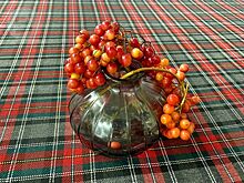 Фестиваль бережного отношения