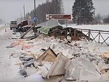 Стали известны подробности шокирующей аварии под Костромой: видео