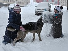 Климатолог рассказал, какие изменения погоды ждут россиян в 2022 году