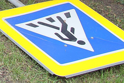 В Воронеже водитель сбил десятилетнего школьника и скрылся с места происшествия