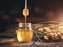 Полезен ли мёд? Можно ли заменить сахар на мёд без вреда для здоровья? Мнение диетолога