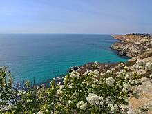 Глава Крыма Аксенов заявил, что пляжи полуострова очистили от мазута