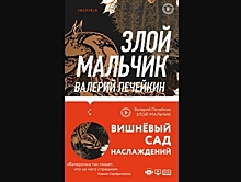 "Злой мальчик" Валерия Печейкина: полустраничные драмы