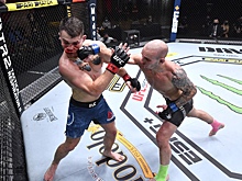 Русский боец принес историческую победу для Гонконга в UFC. Кто такой Саша Палатников