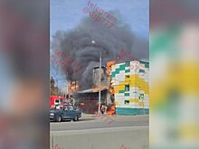 Магазин "Дикси" загорелся в ТиНАО