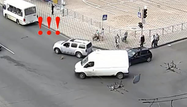 Собака вывалилась с водительского места в центре Петрозаводска (видео)